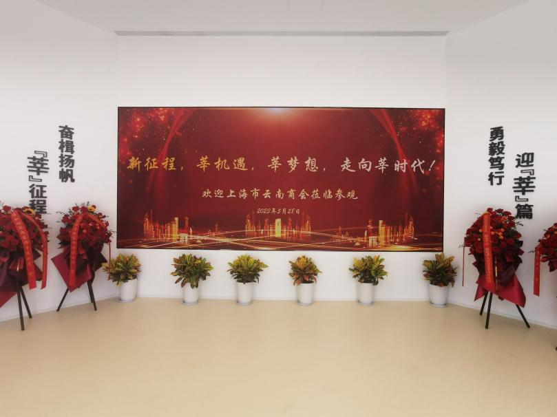 三思,智慧顯示,助力臨港,莘?？萍紙@,人才體系建設